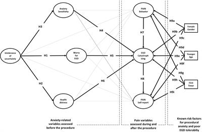 Intolerance of Uncertainty and Anxiety-Related Dispositions Predict Pain During Upper Endoscopy